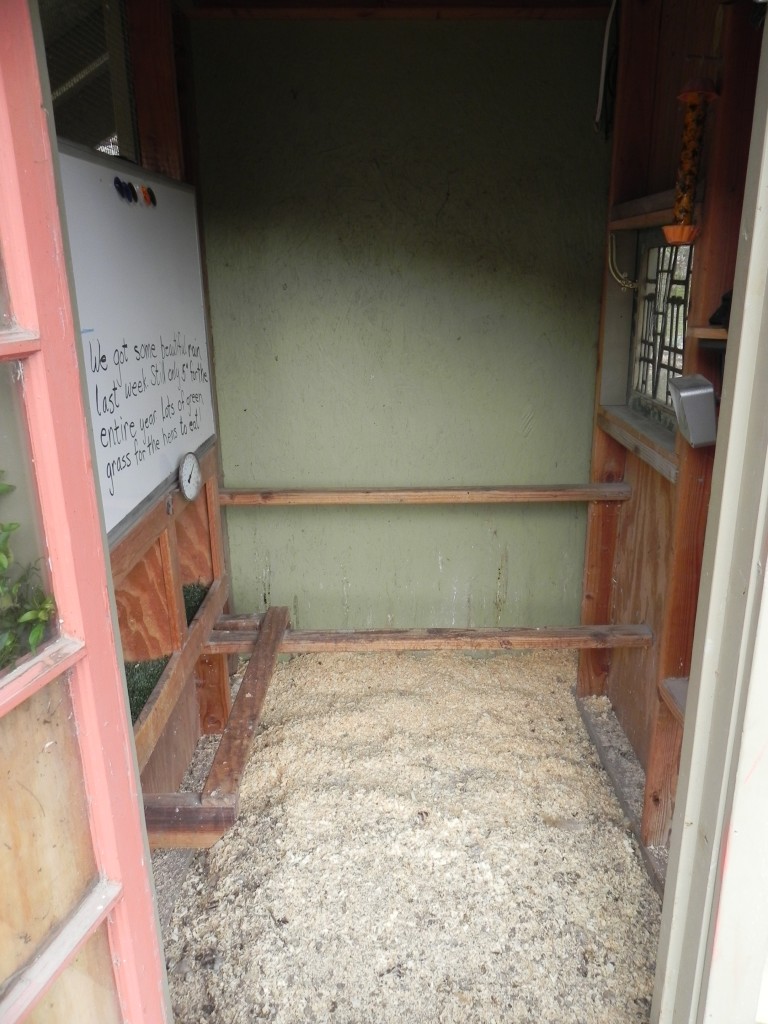 The inside of the coop with nest boxes on the left.