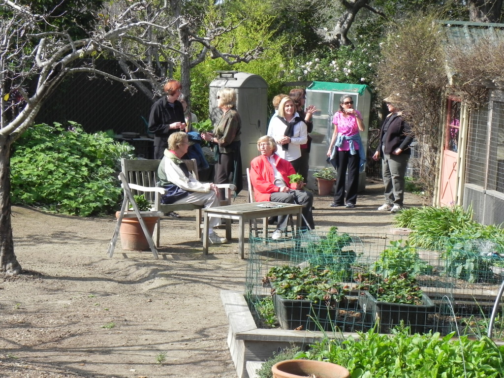 Members of the Newcomers Garden Club viewing our garden.